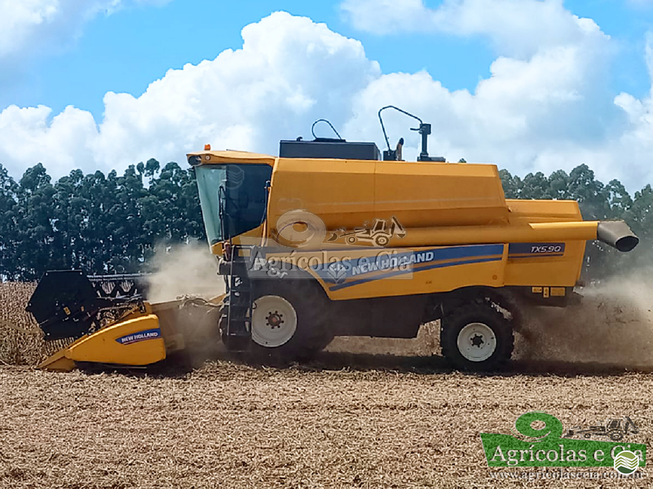COLHEITADEIRA NEW HOLLAND TX 5.90 Agricolas e Cia RIO DAS PEDRAS SÃO PAULO SP